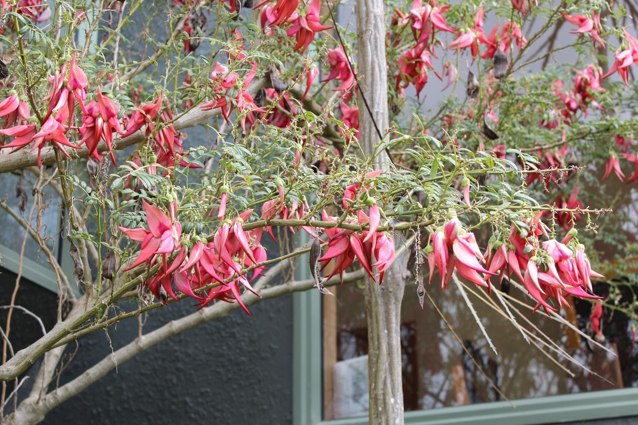 Tui Hideaway Bed & Breakfast Invercargill Eksteriør bilde